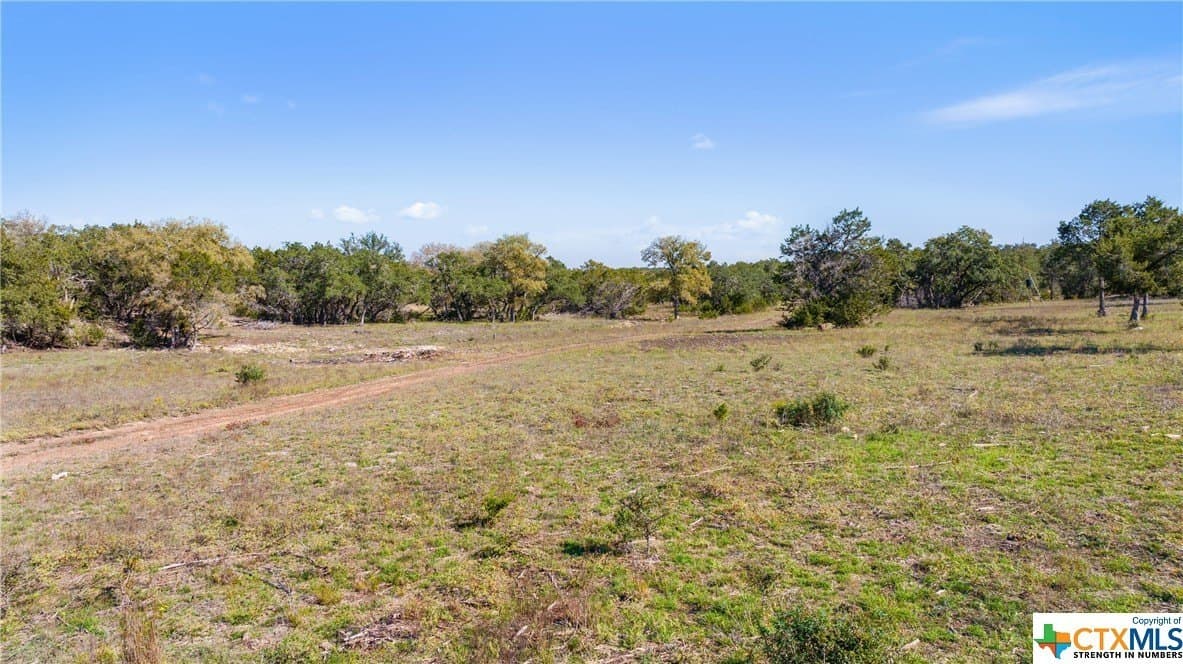 72.15 acres in Hays County - photo 10