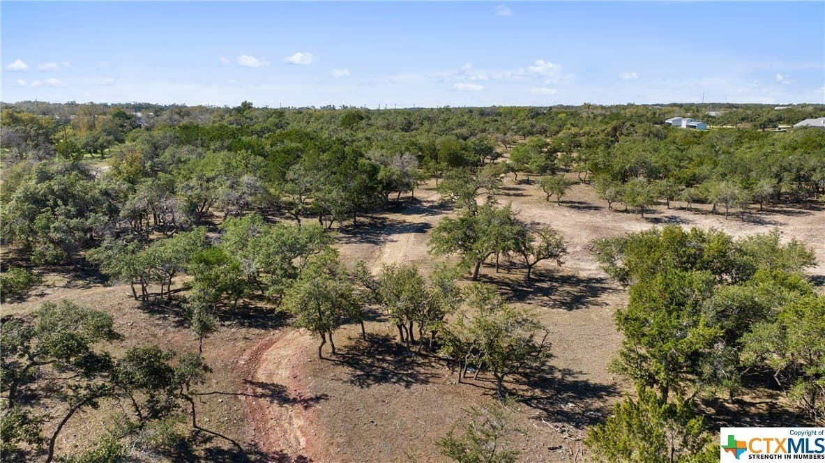 72.15 acres in Hays County - photo 18