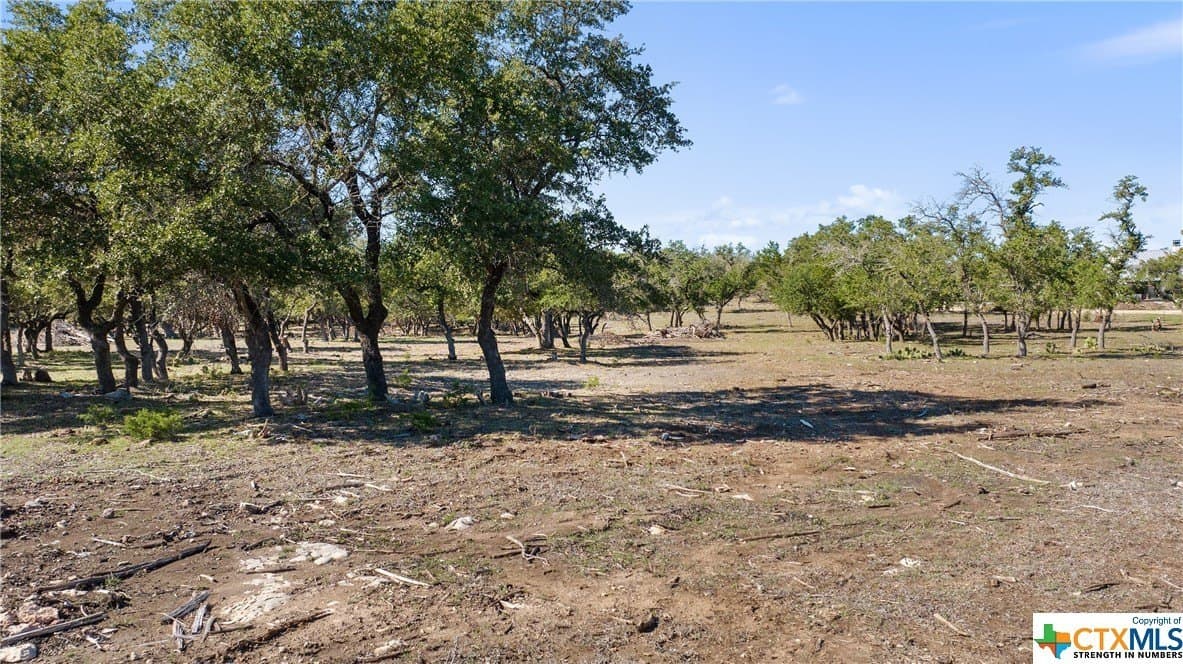 72.15 acres in Hays County - photo 16