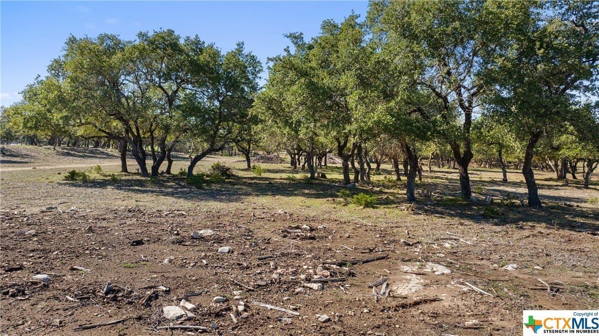 72.15 acres in Hays County - photo 17