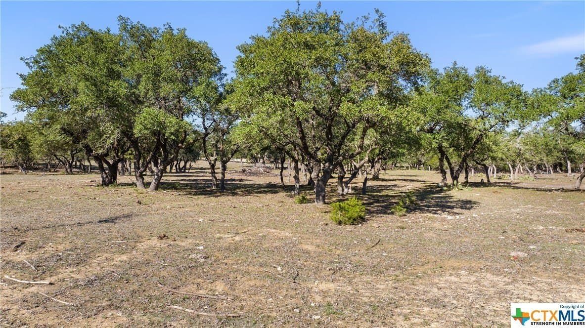 72.15 acres in Hays County gallery image 4