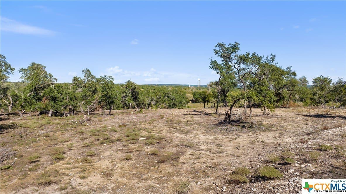 72.15 acres in Hays County - photo 13