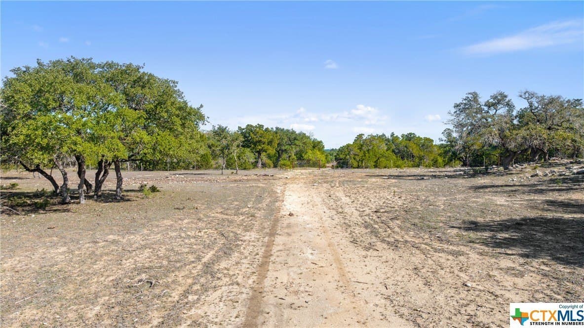 72.15 acres in Hays County gallery image 3