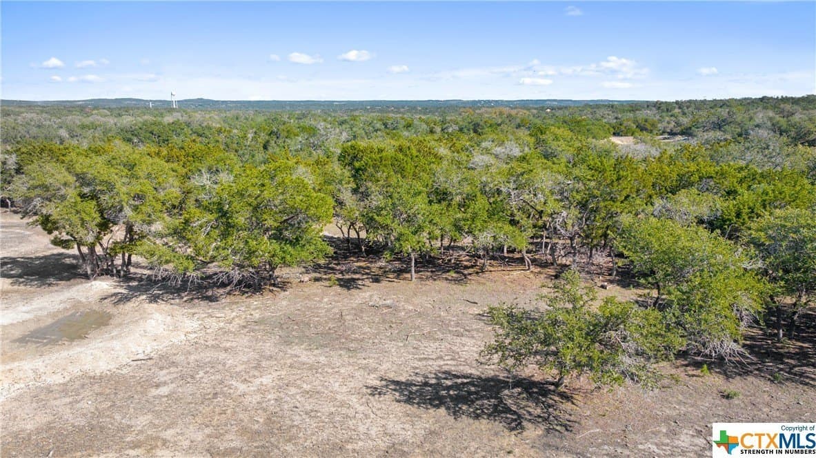 72.15 acres in Hays County - photo 19