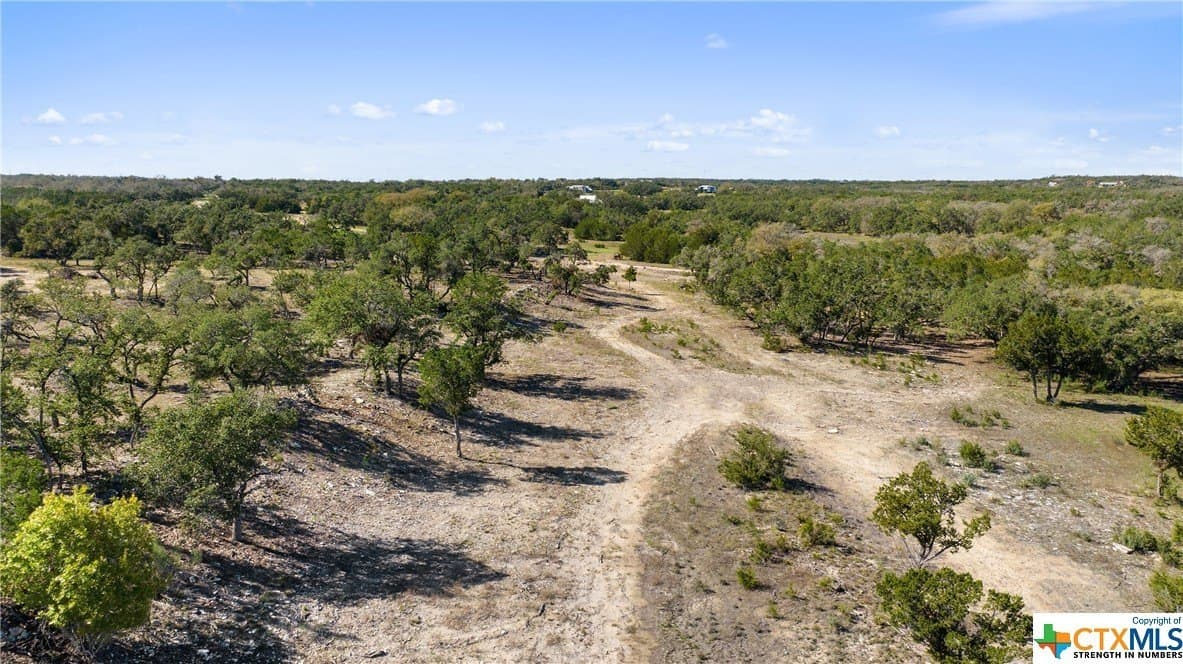 72.15 acres in Hays County gallery image 2