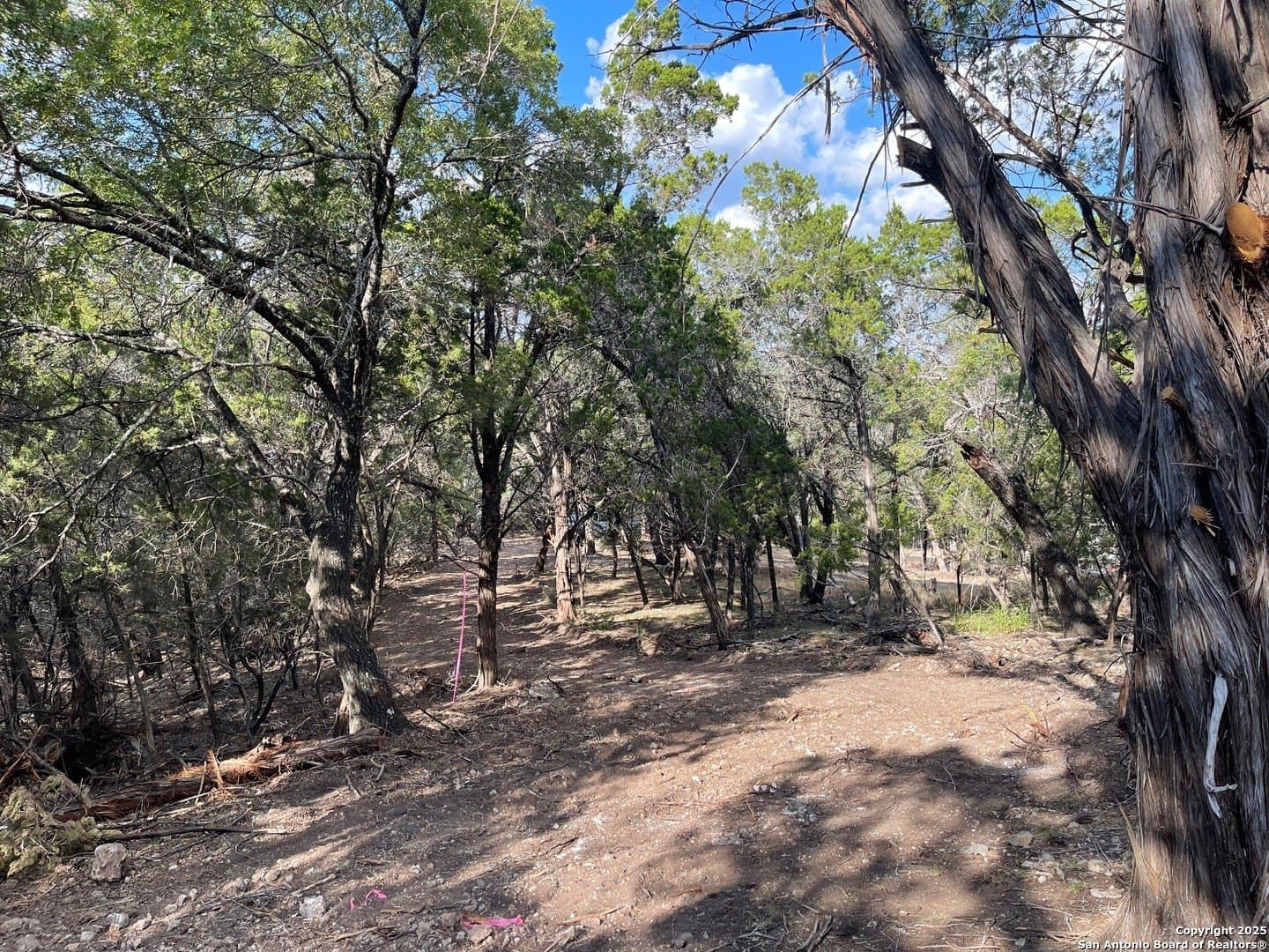 2.79 acres in Bandera County - photo 10