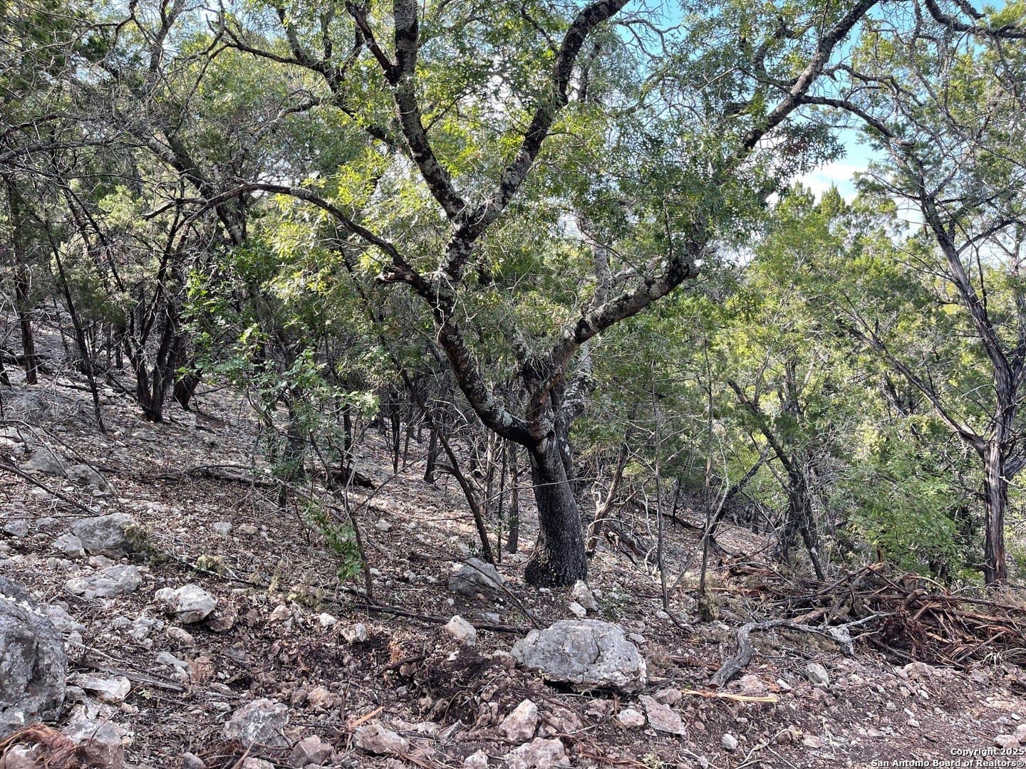 2.79 acres in Bandera County - photo 15