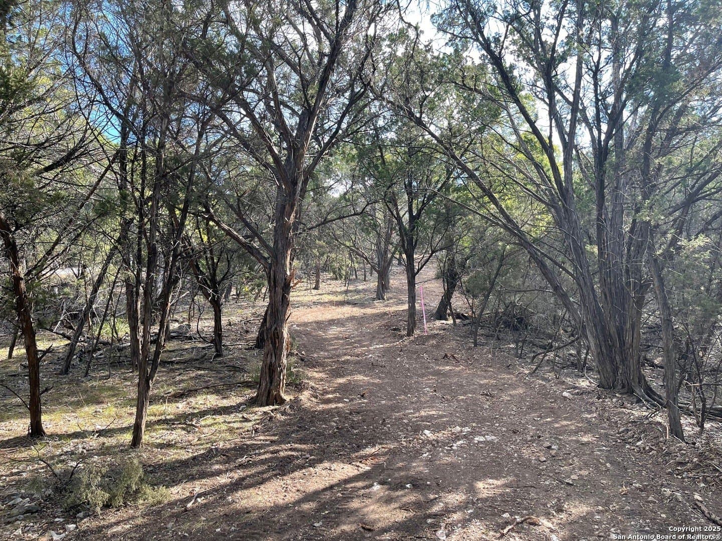 2.79 acres in Bandera County gallery image 3