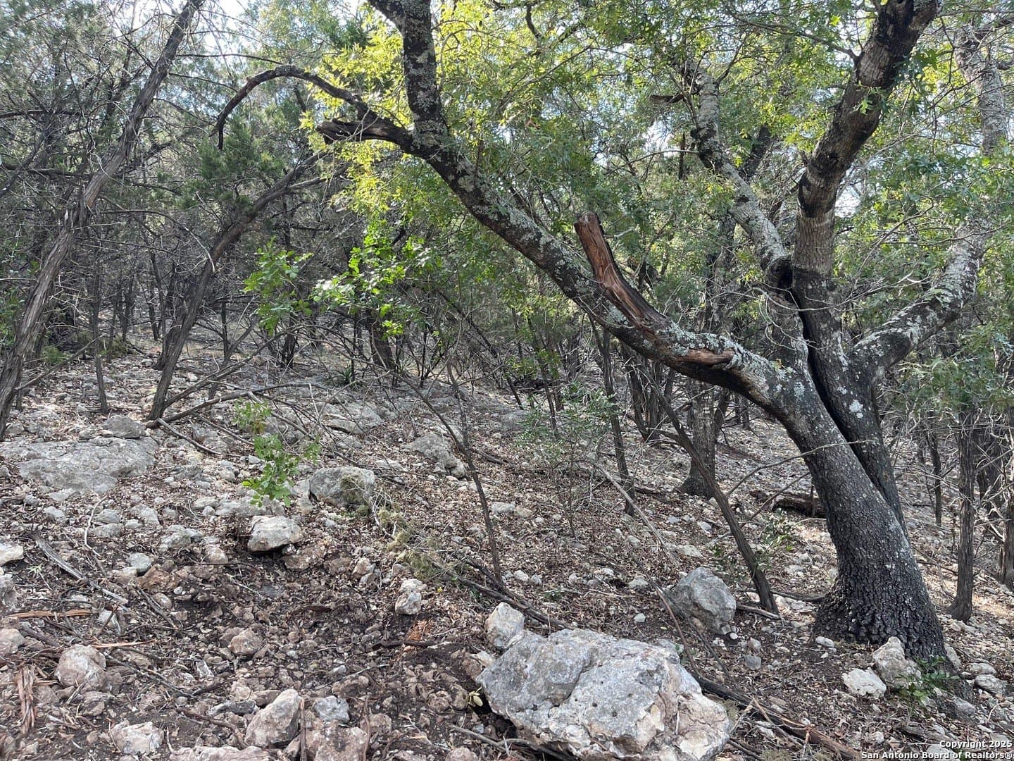2.79 acres in Bandera County - photo 13