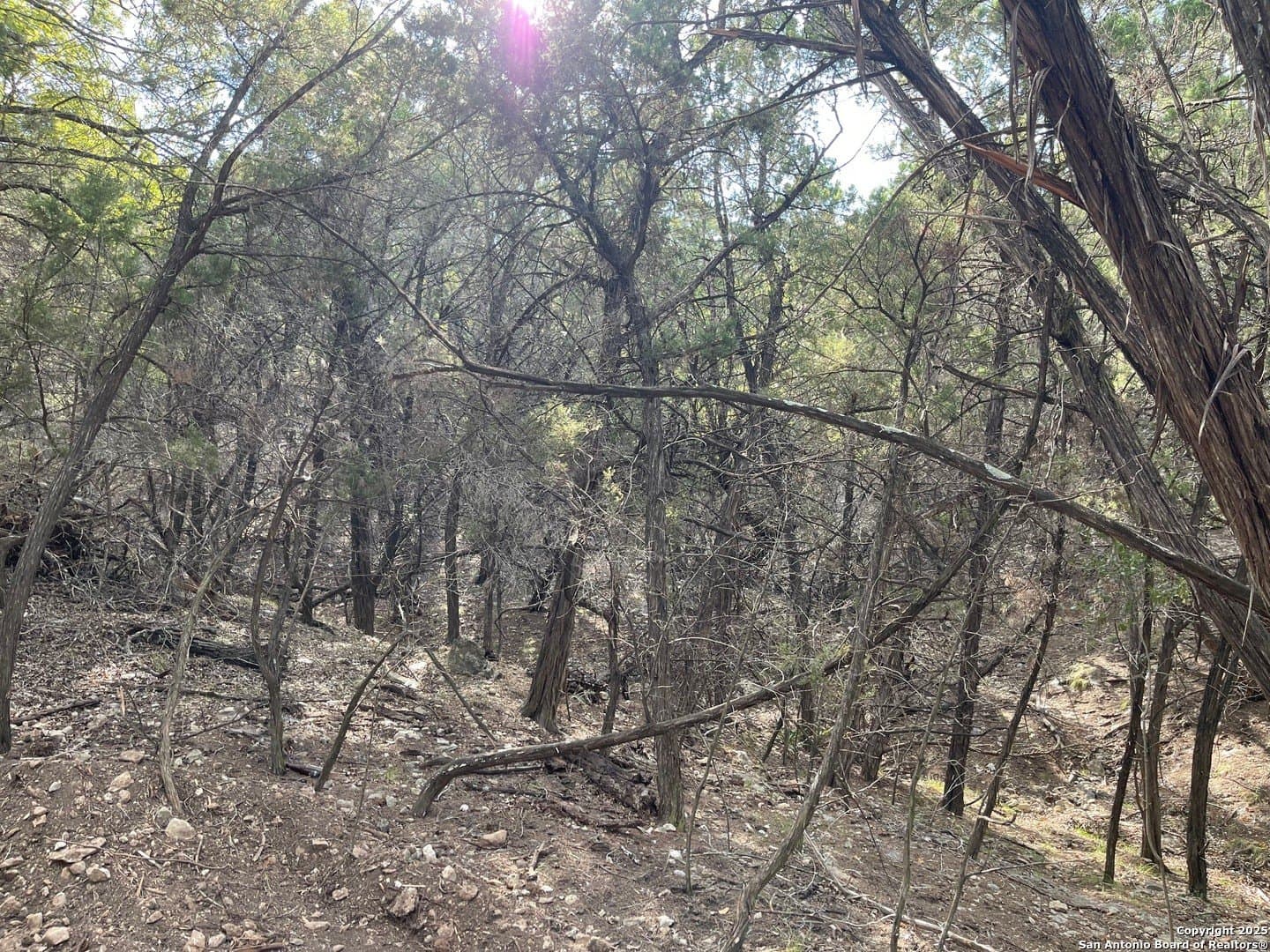 2.79 acres in Bandera County - photo 7
