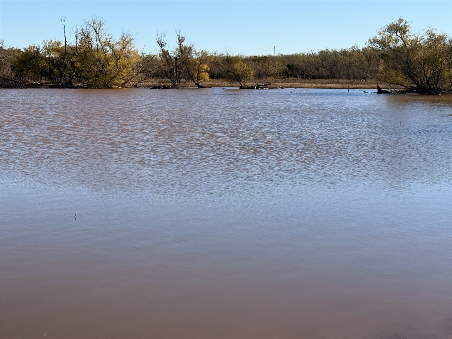 52 acres in Taylor County - photo 7
