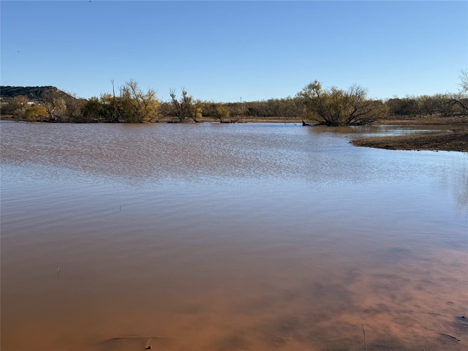 52 acres in Taylor County - photo 8