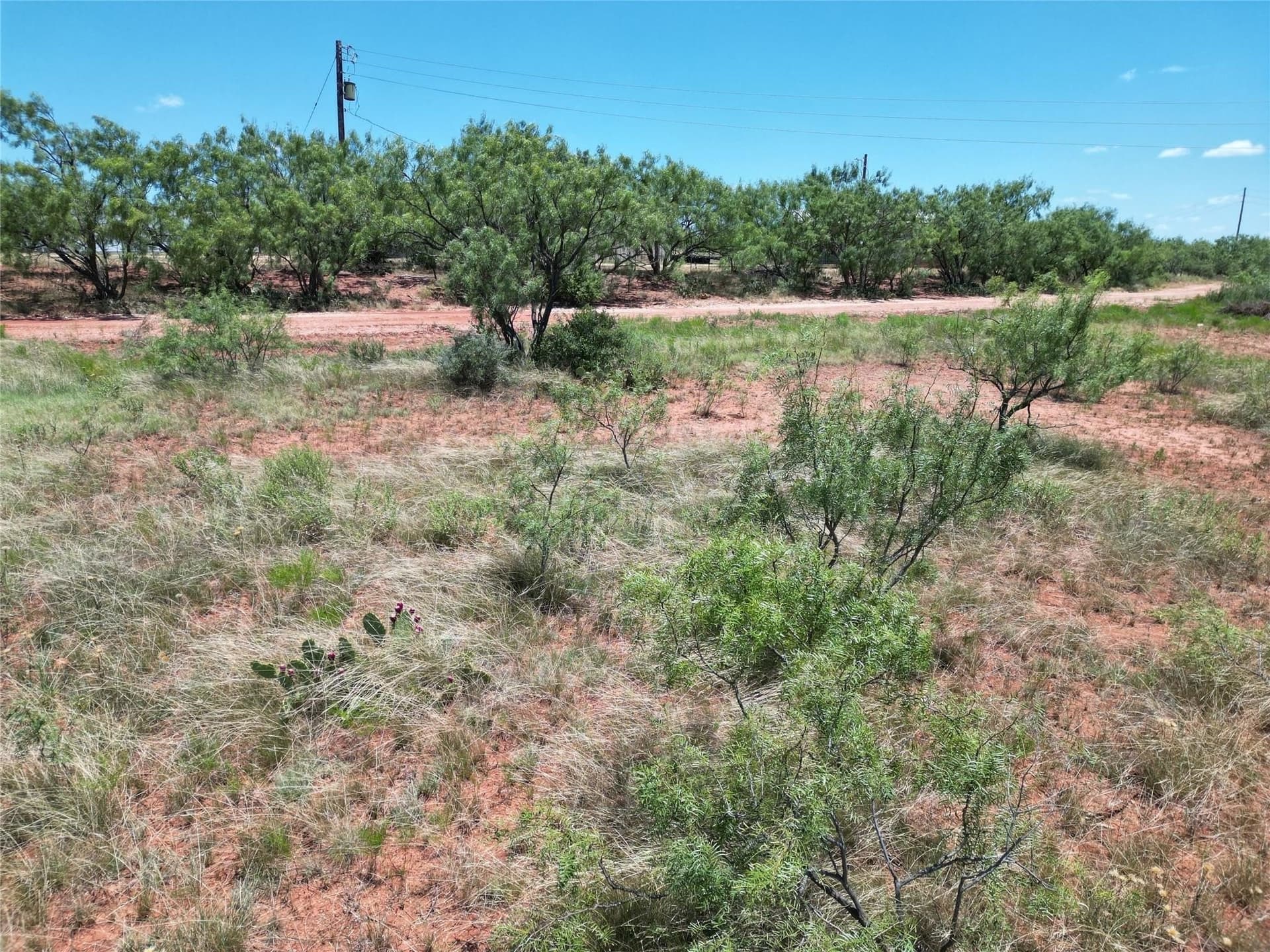 52 acres in Taylor County - photo 12
