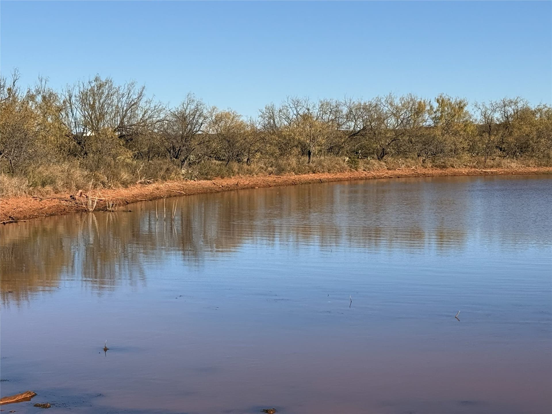 52 acres in Taylor County - photo 10