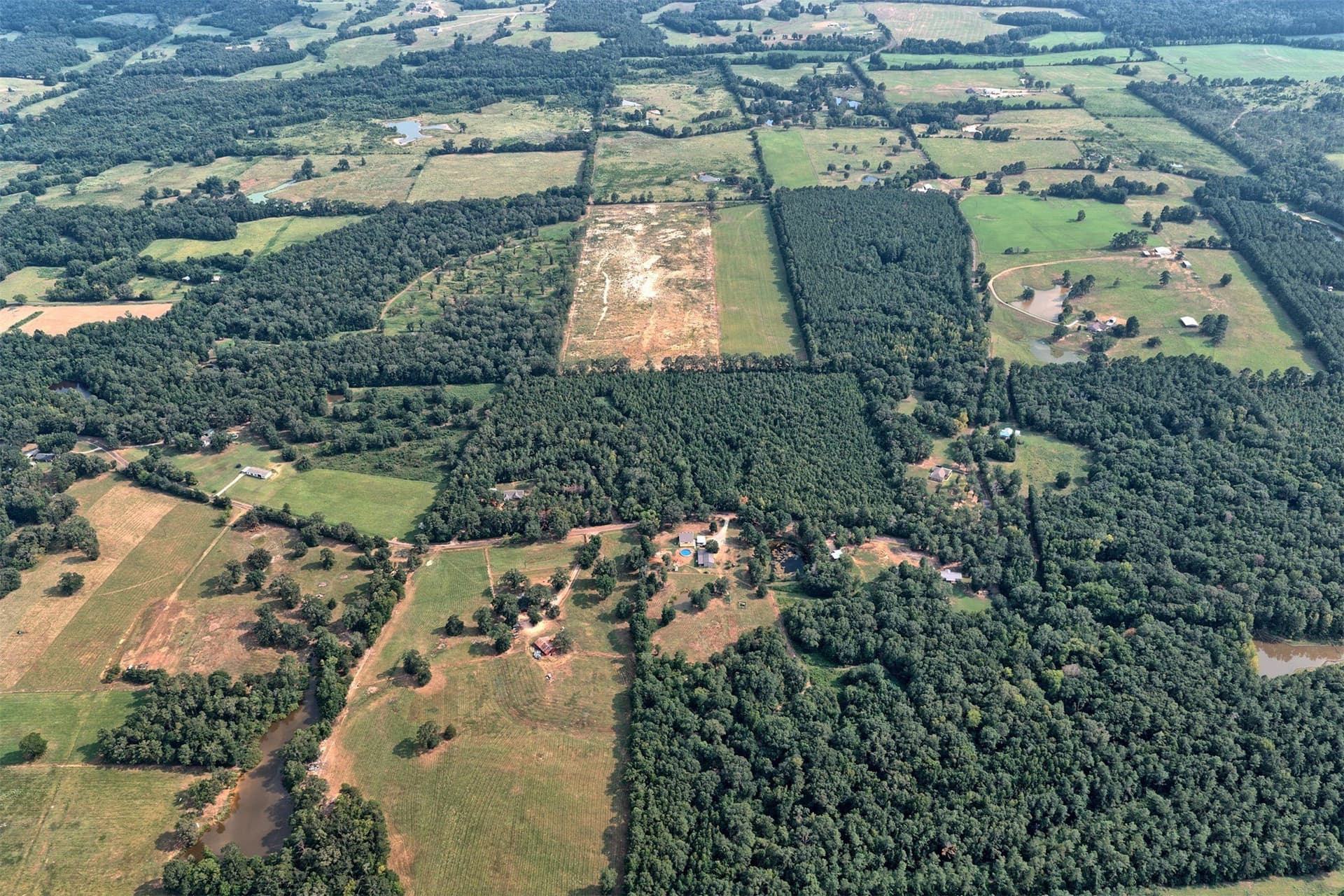 24.02 acres in Panola County - photo 16