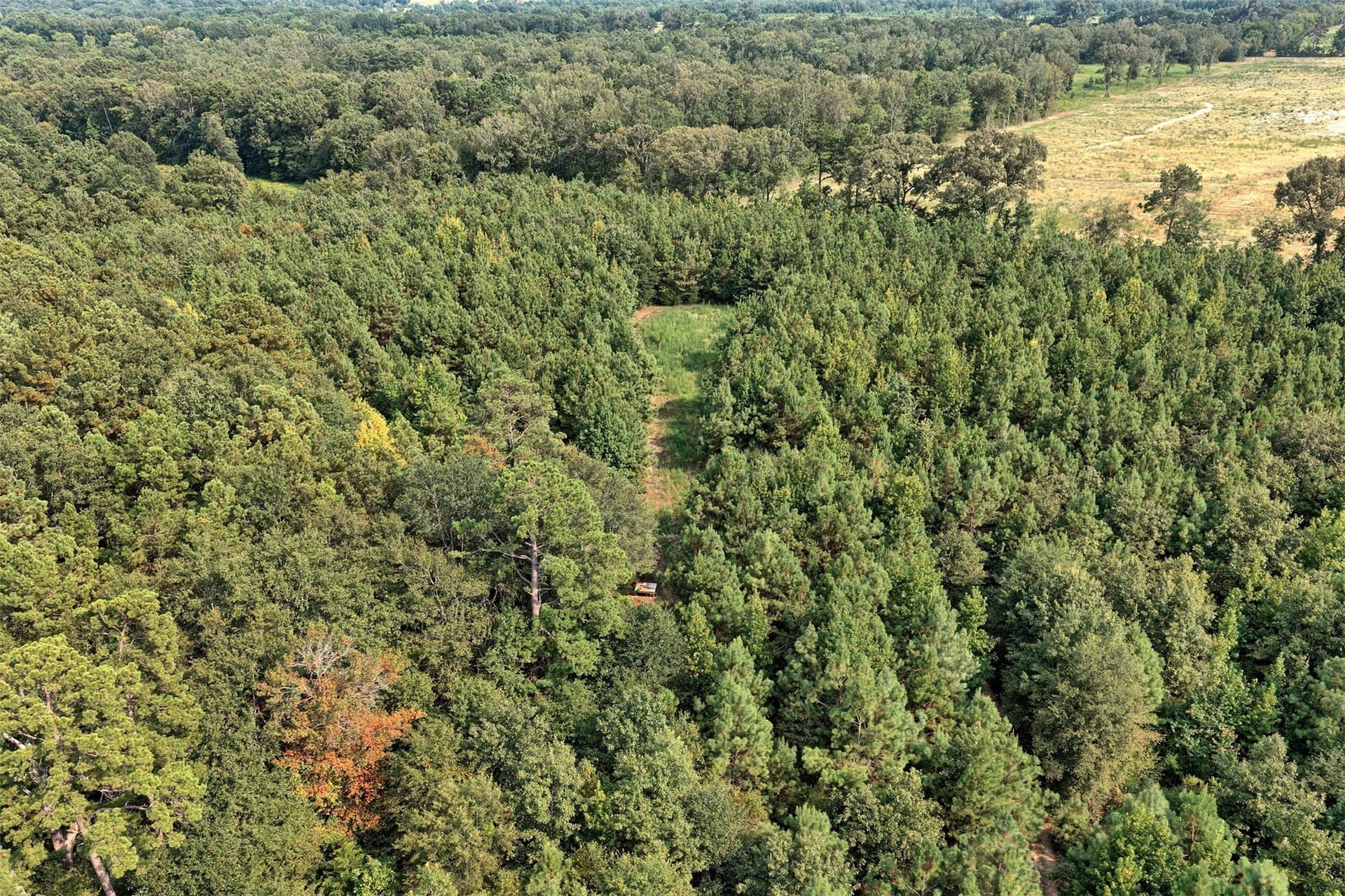 24.02 acres in Panola County - photo 14