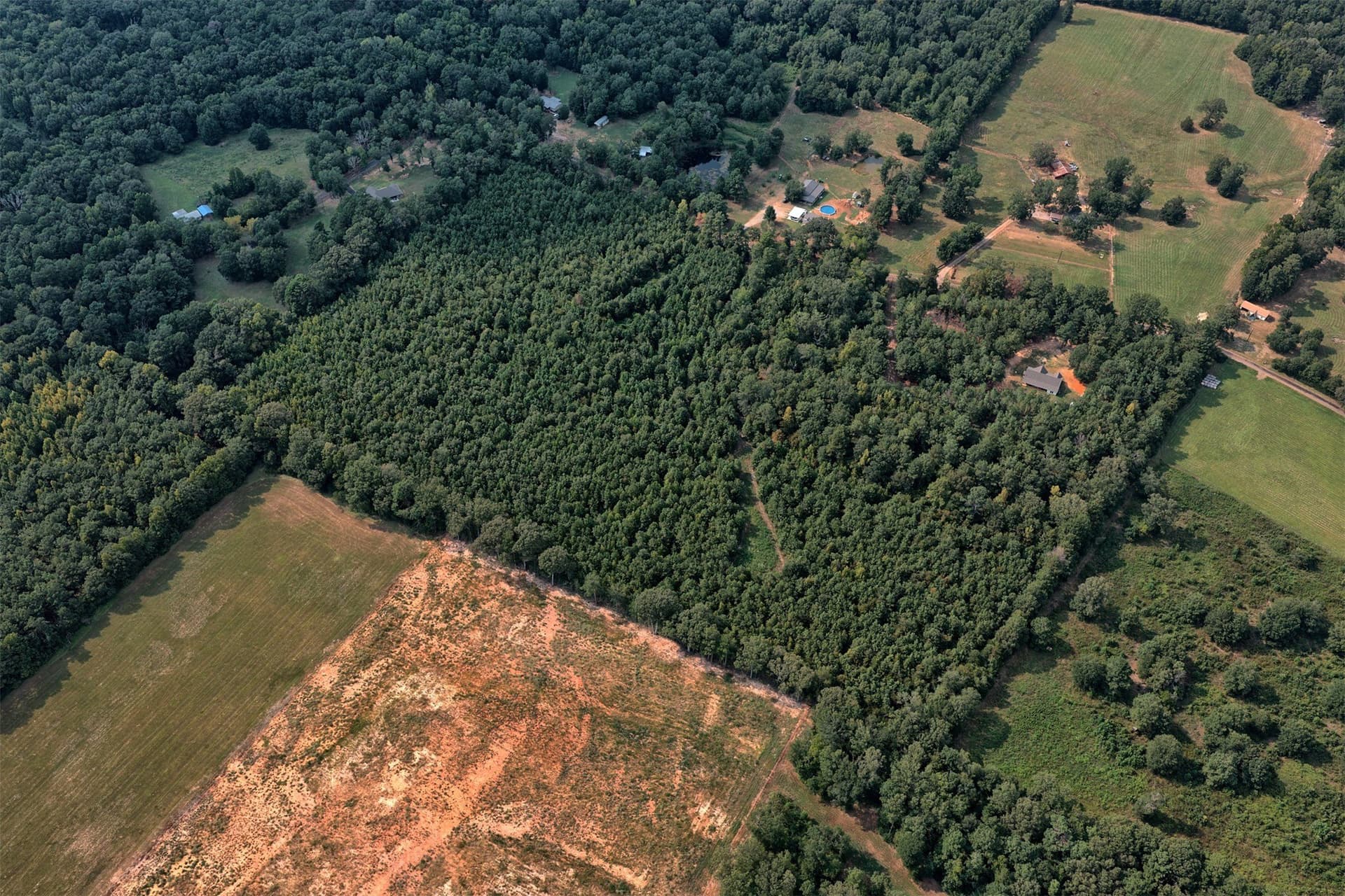 24.02 acres in Panola County - photo 7
