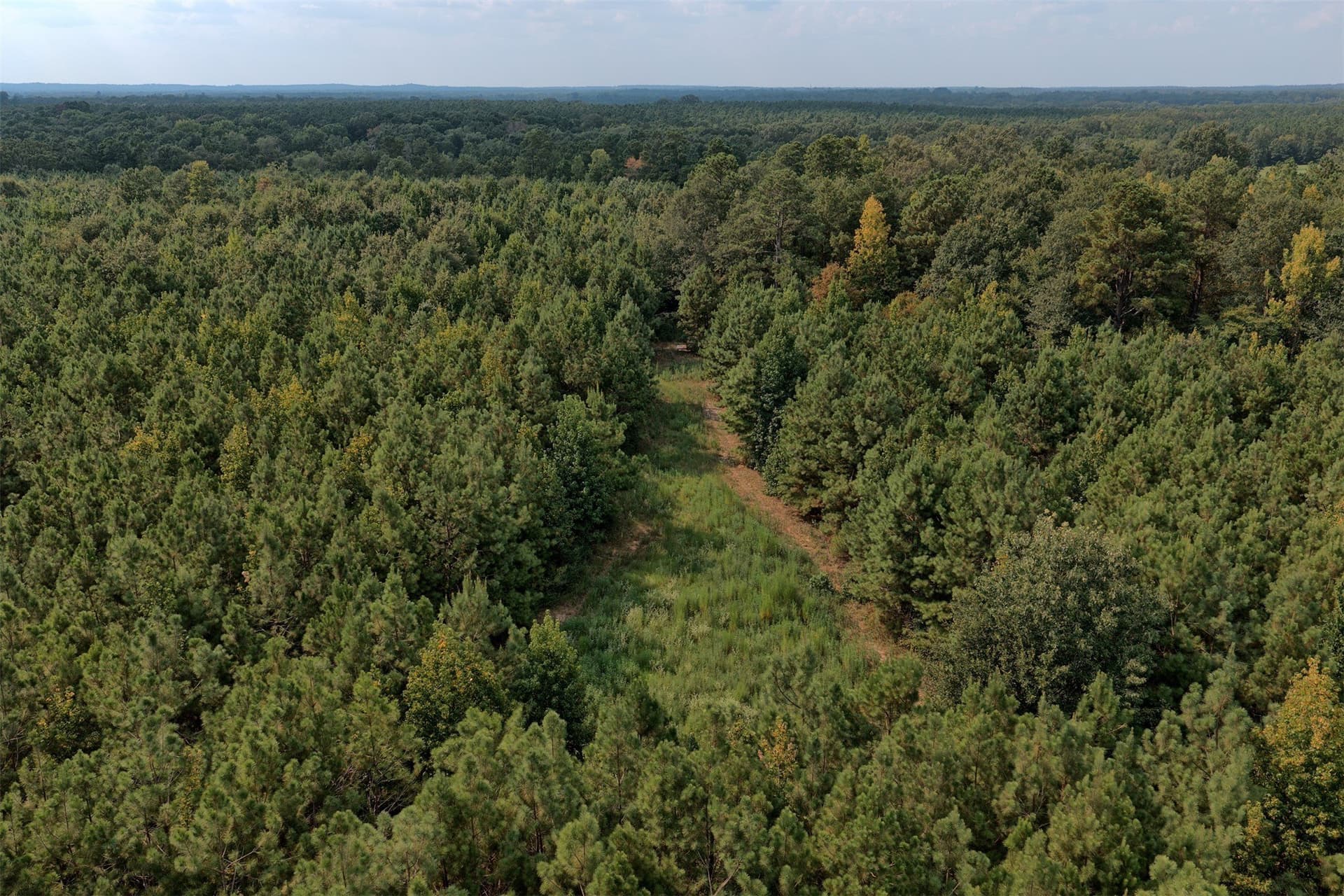 24.02 acres in Panola County - photo 8