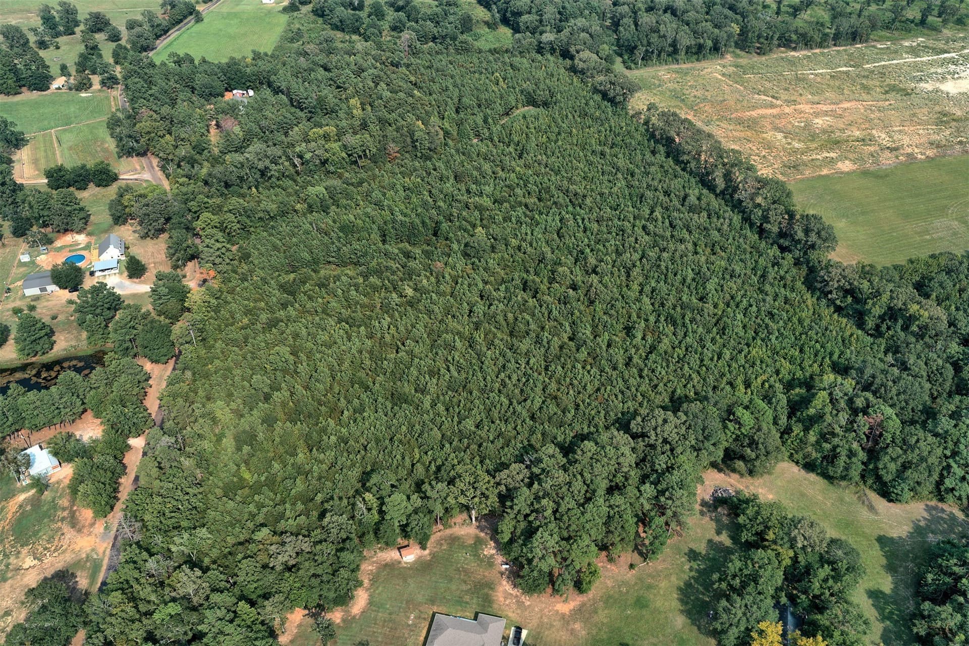 24.02 acres in Panola County - photo 10