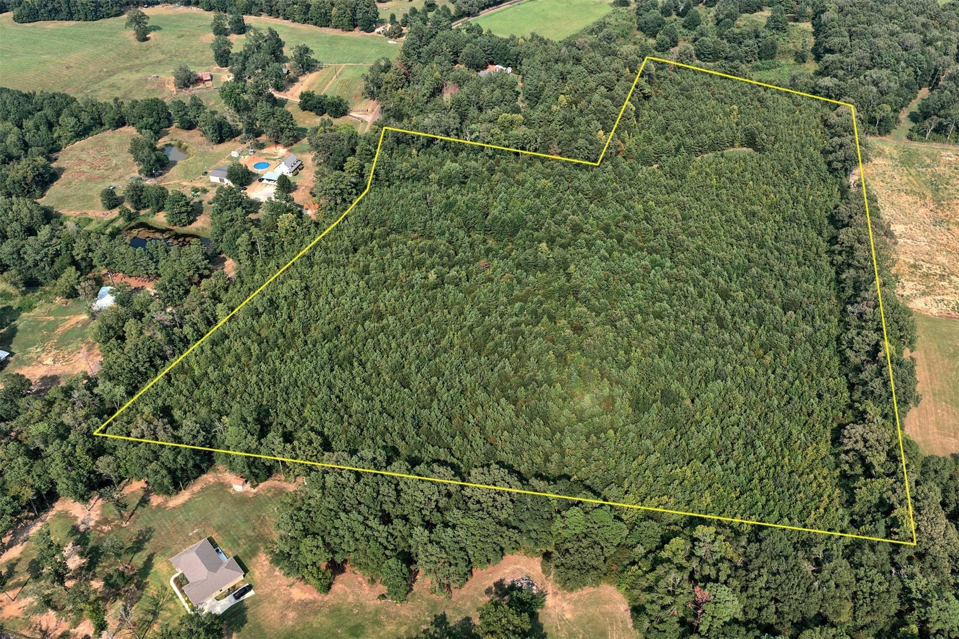 24.02 acres in Panola County - photo 9