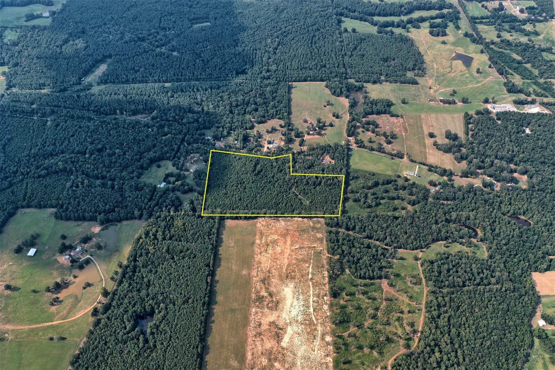 24.02 acres in Panola County - photo 6