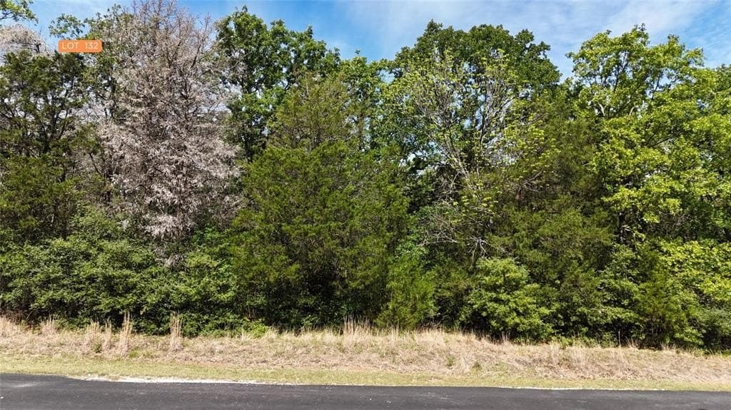 1.34 acres in Freestone County gallery image 3