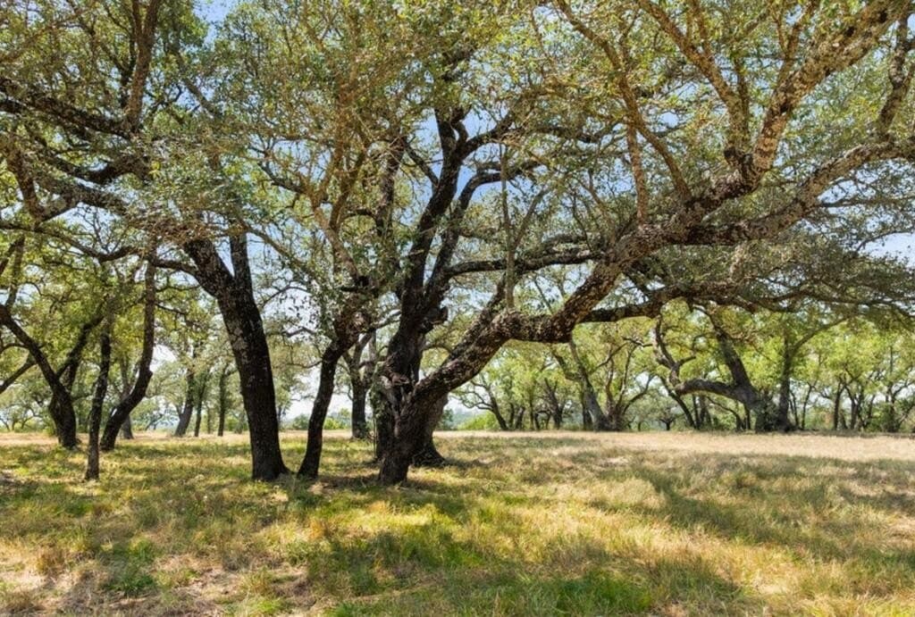 103.89 acres in Burnet County - photo 19