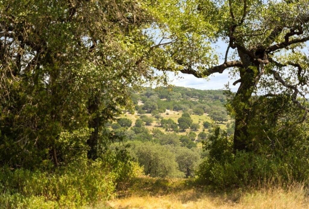 103.89 acres in Burnet County - photo 22