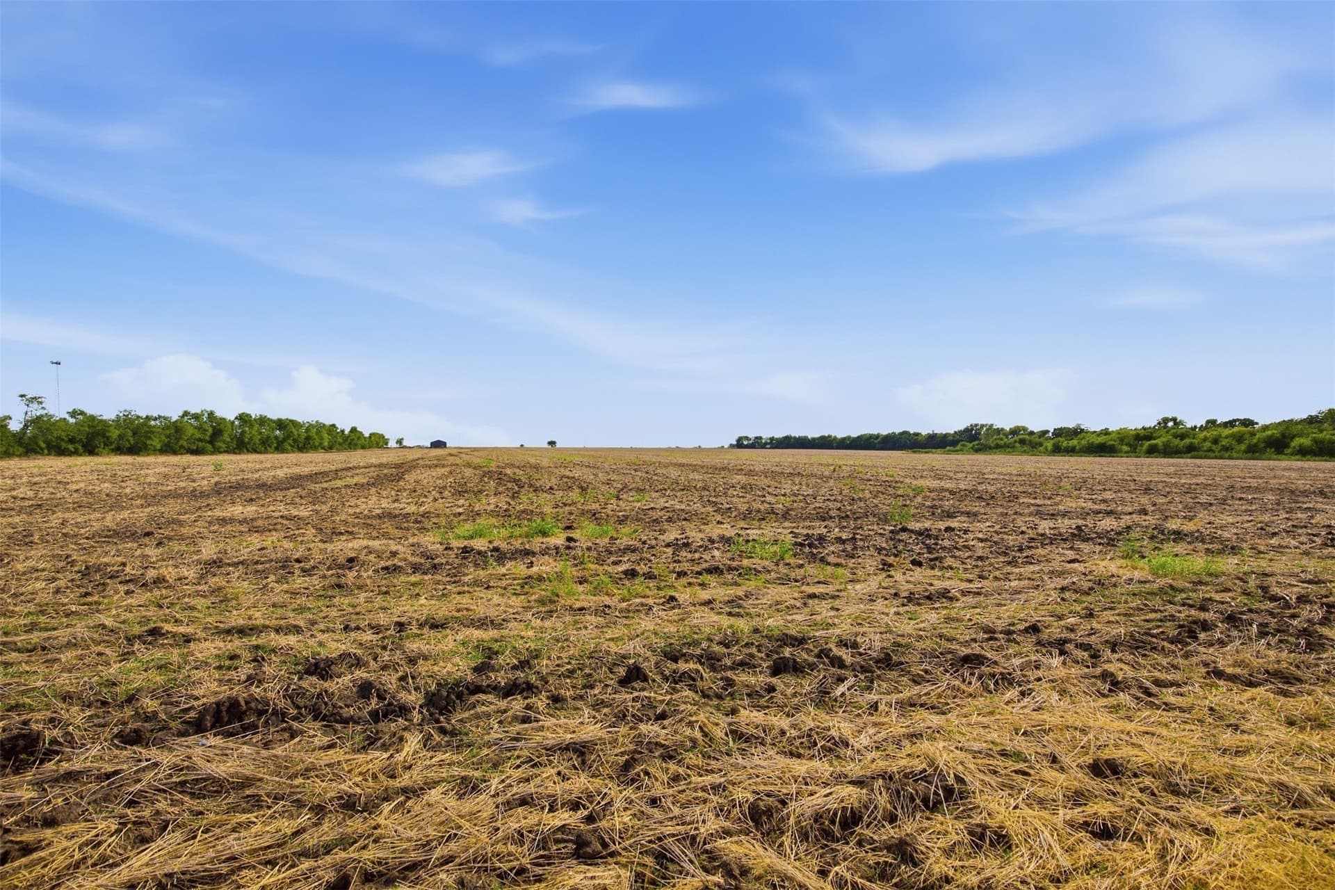 47.07 acres in Grayson County - photo 7
