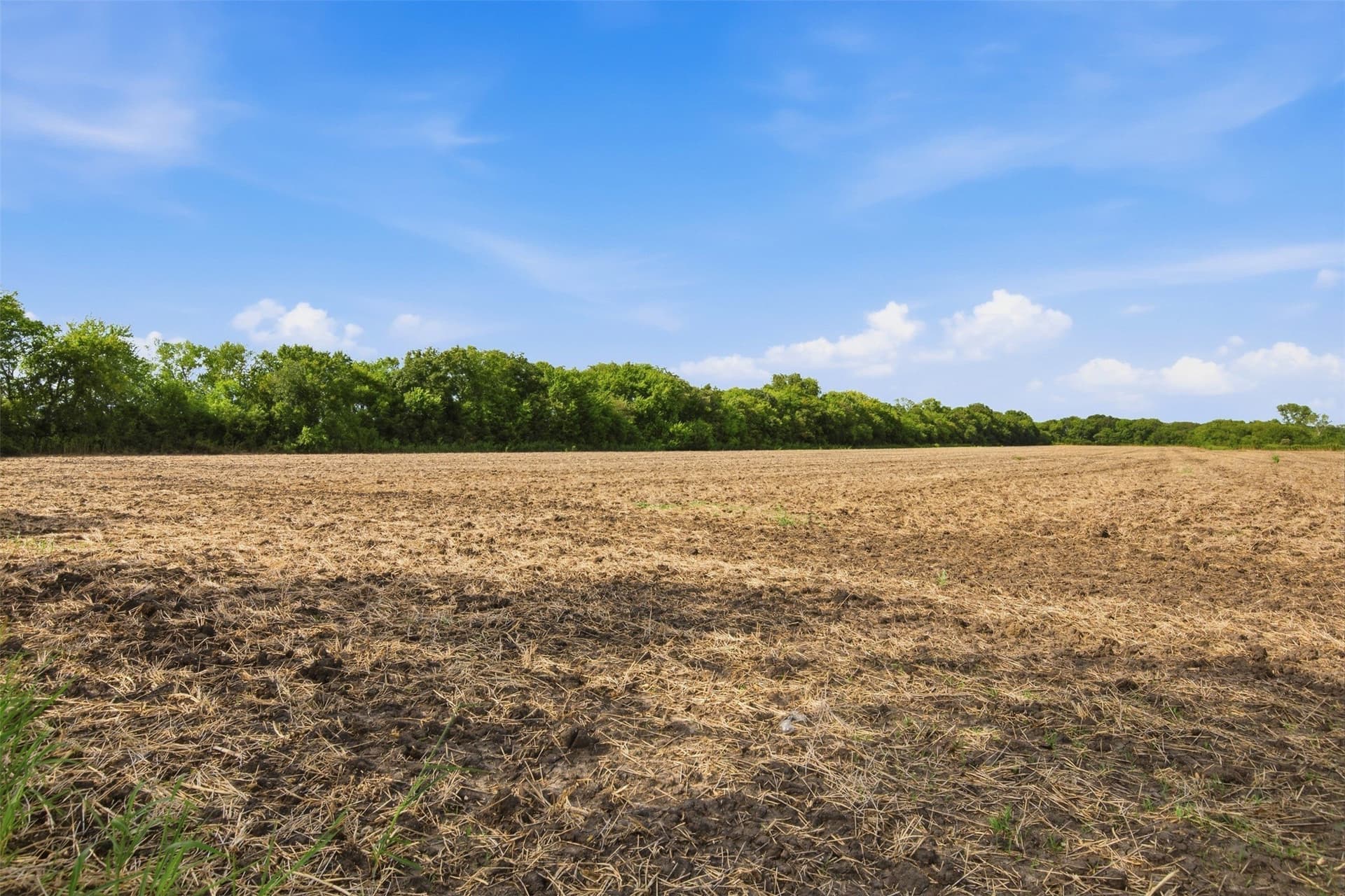 47.07 acres in Grayson County - photo 5