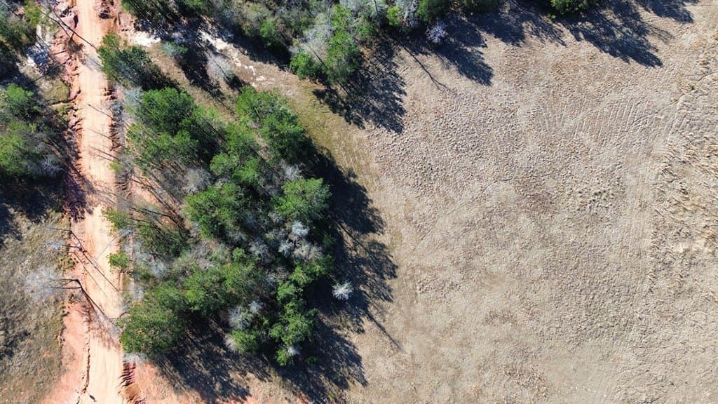 2.99 acres in Texas County gallery image 3
