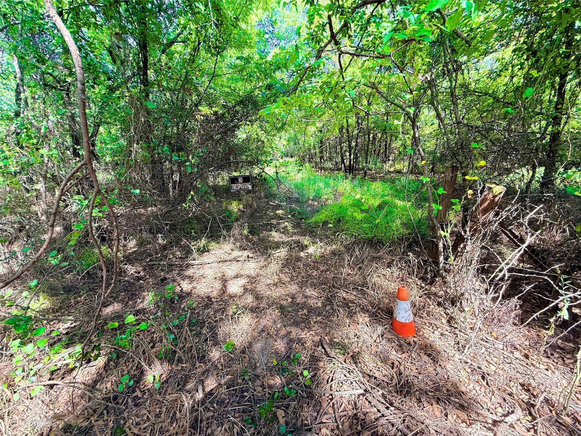 12.4 acres in Hunt County - photo 2