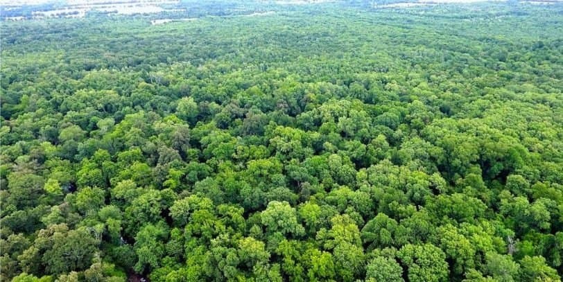 12.4 acres in Hunt County - photo 6