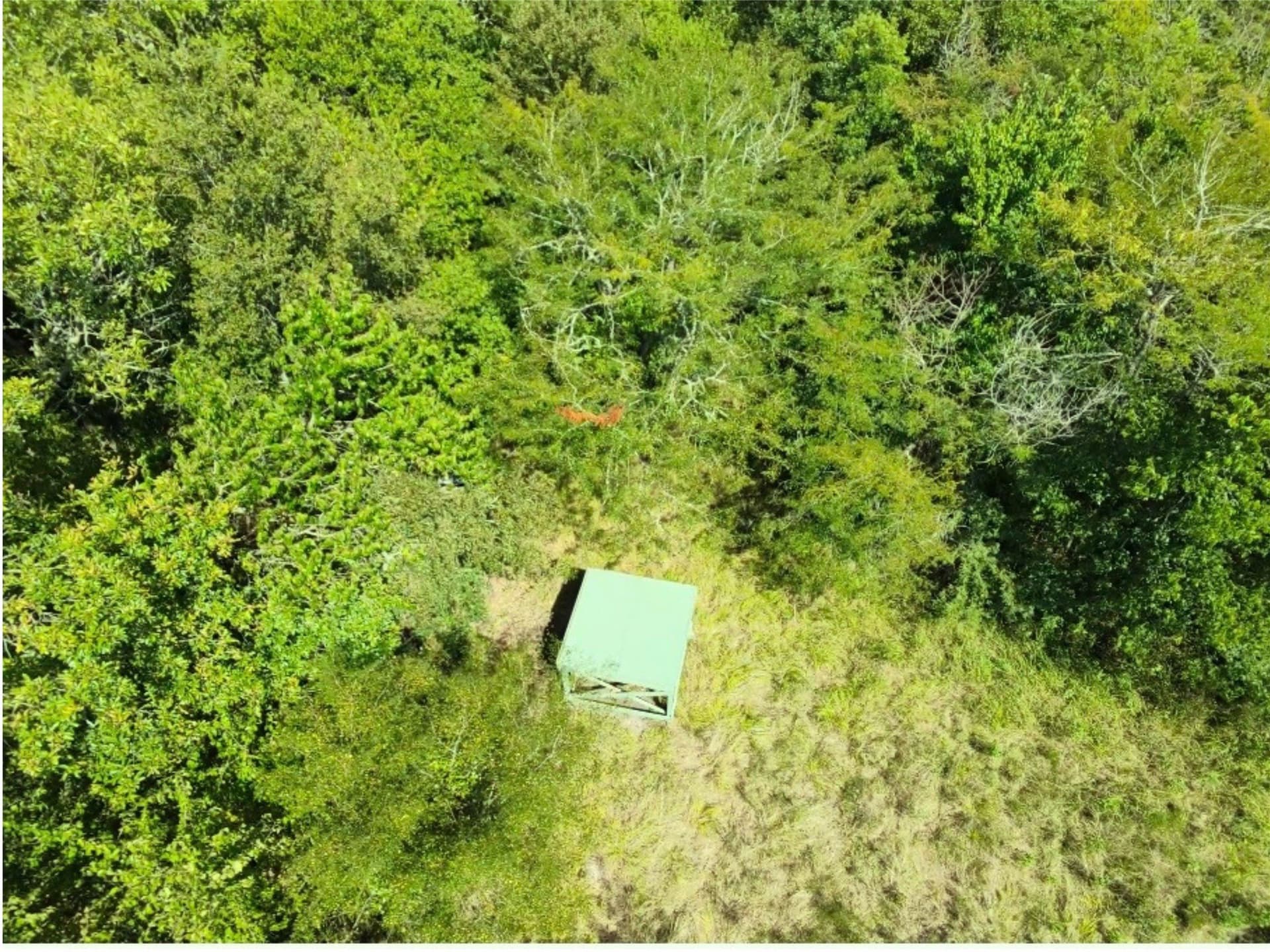 12.4 acres in Hunt County - photo 5