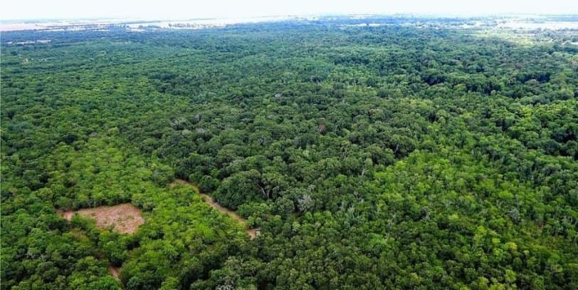 12.4 acres in Hunt County - photo 7