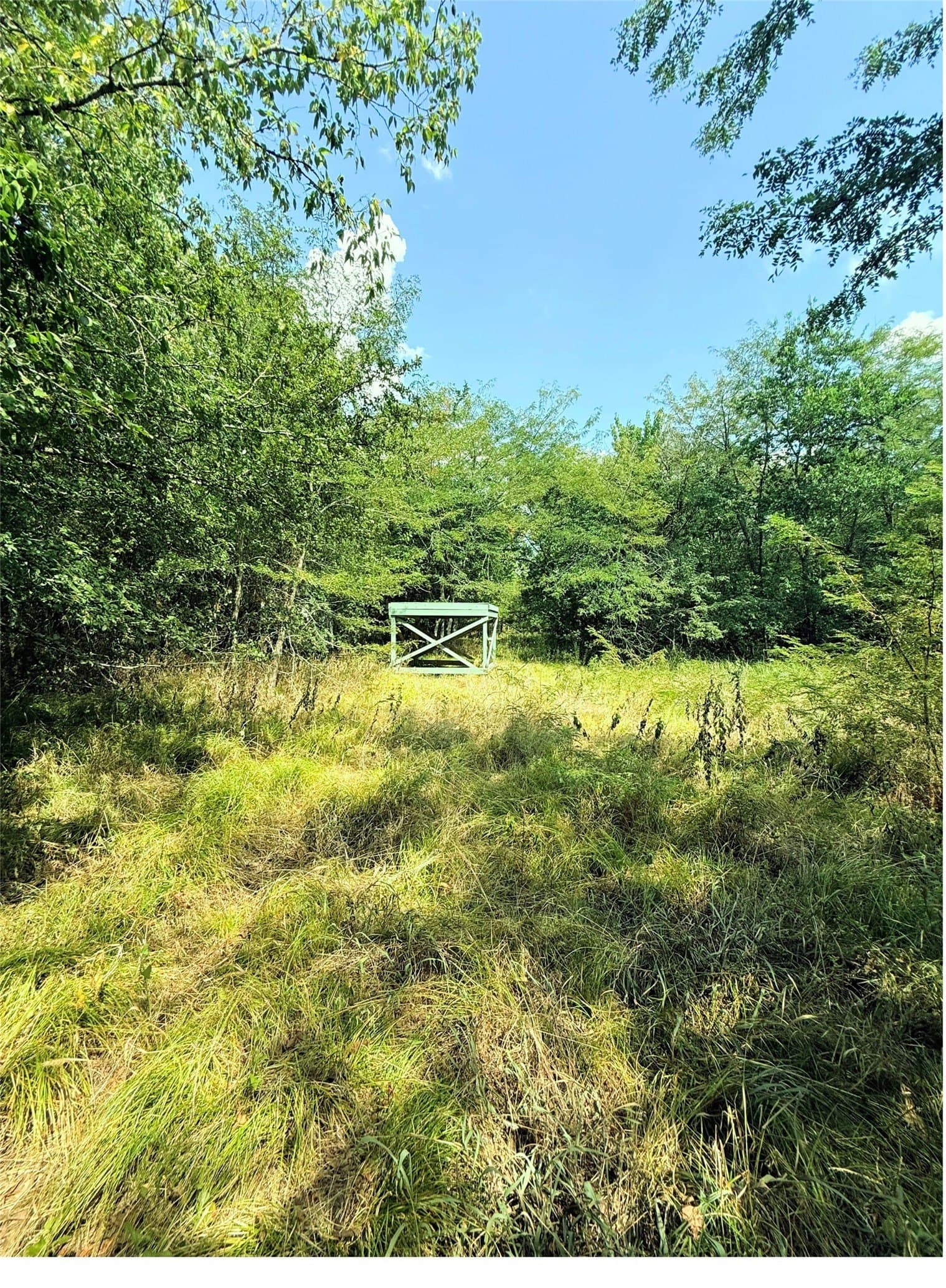 12.4 acres in Hunt County - photo 3