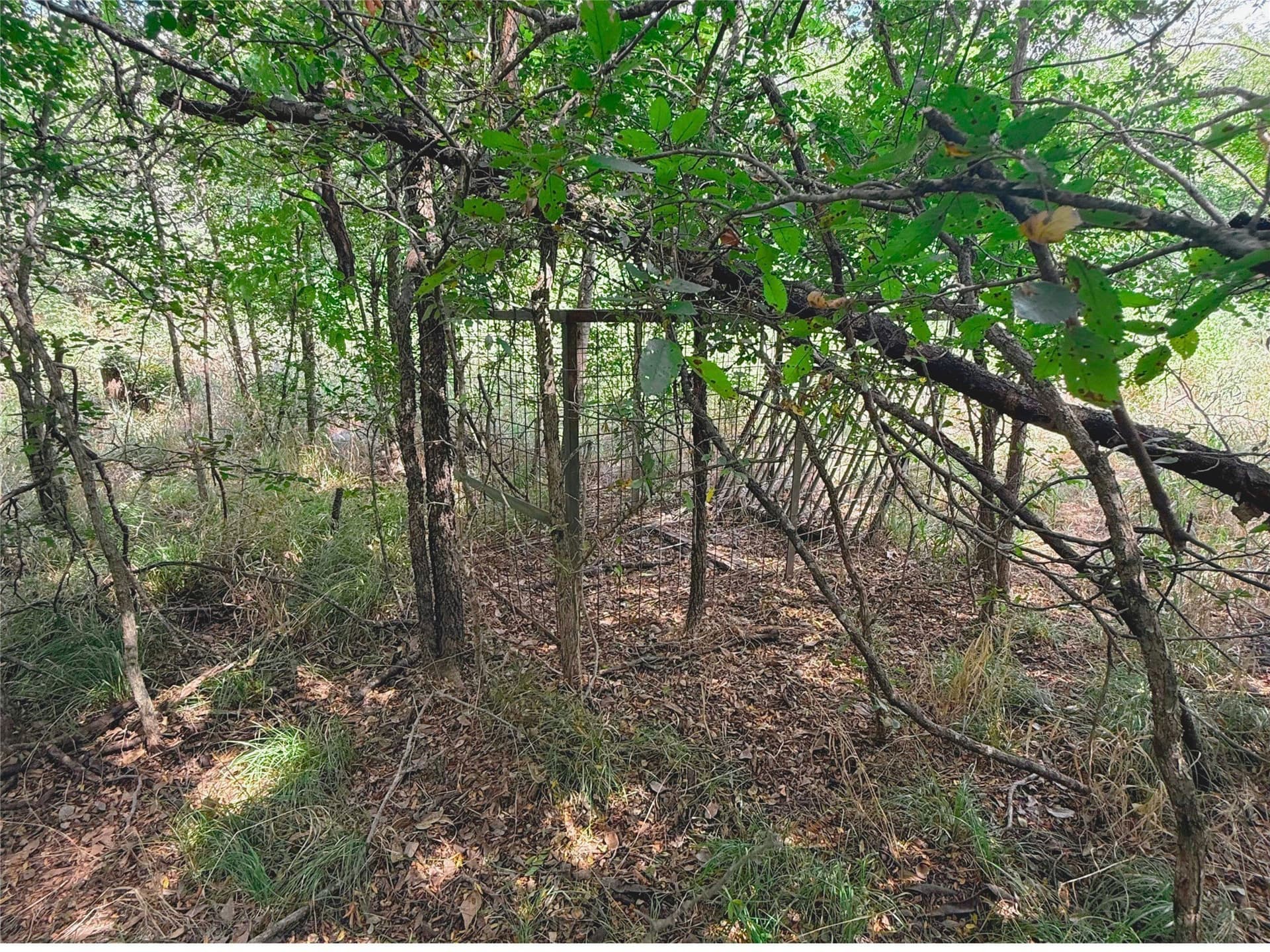 12.4 acres in Hunt County - photo 4