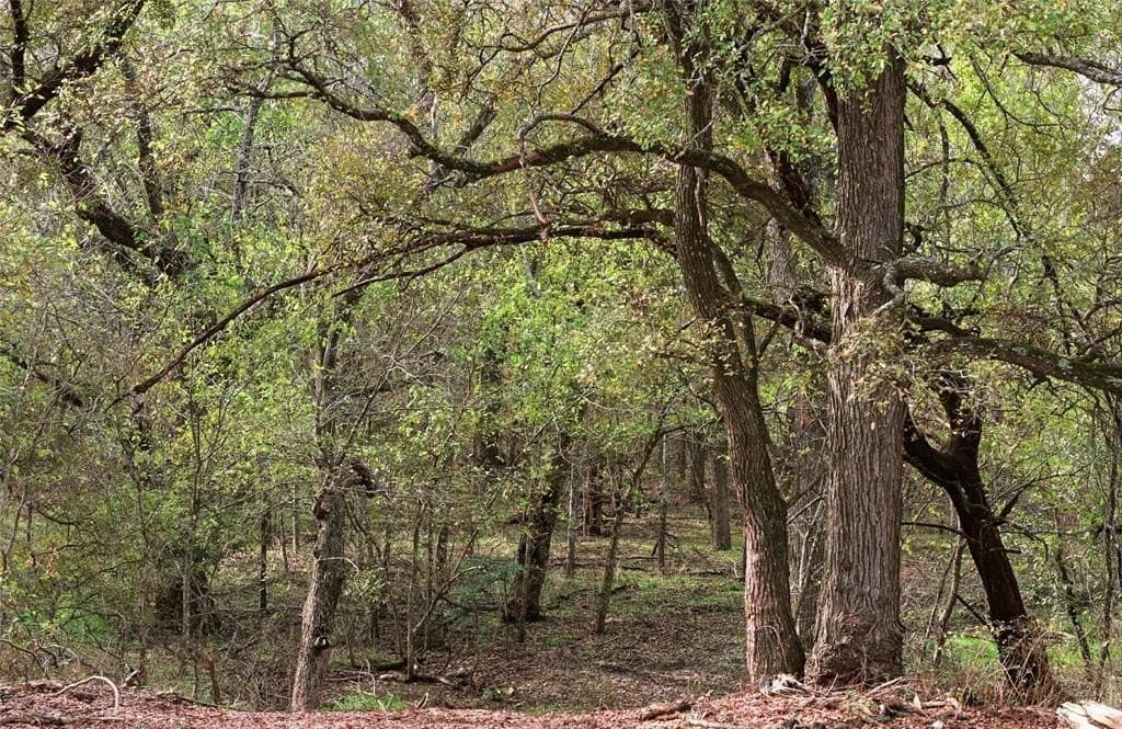 15.41 acres in Hill County gallery image 3