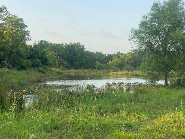 481.1 acres in Bay City County - photo 18
