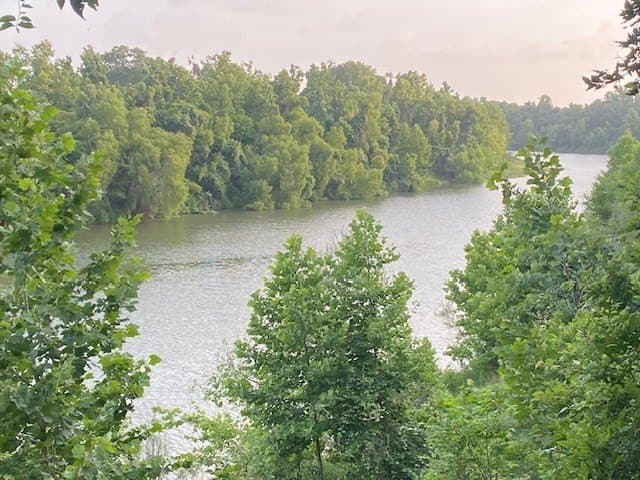 481.1 acres in Bay City County - photo 39