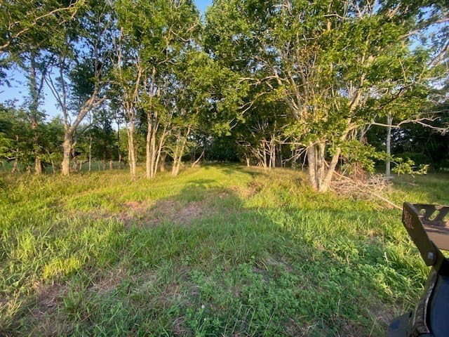 481.1 acres in Bay City County - photo 22