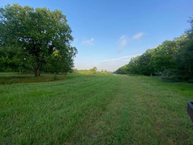 481.1 acres in Bay City County - photo 23