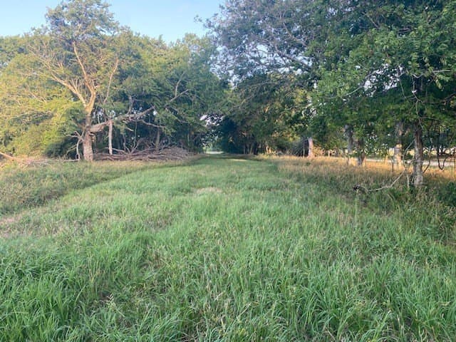 481.1 acres in Bay City County - photo 15