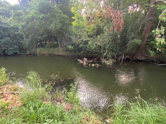 481.1 acres in Bay City County - photo 37