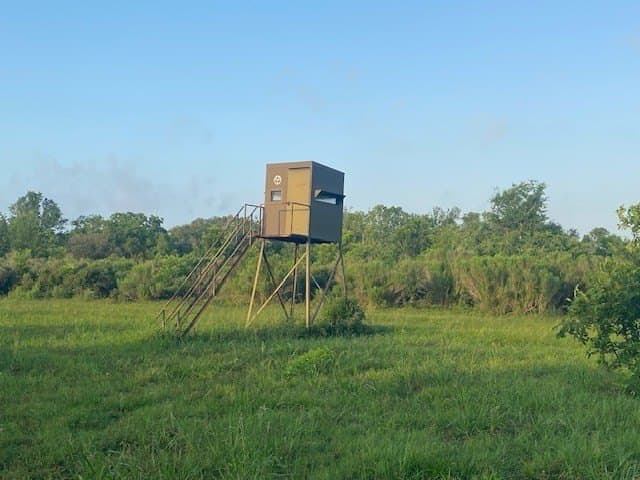 481.1 acres in Bay City County - photo 24