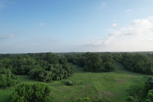 481.1 acres in Bay City County - photo 48