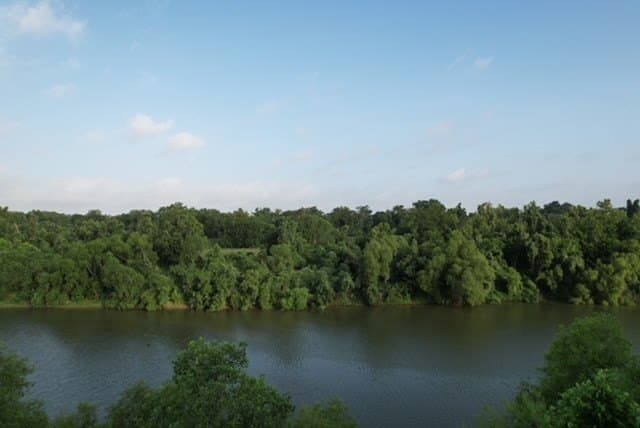 481.1 acres in Bay City County - photo 41