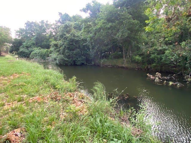 481.1 acres in Bay City County - photo 36