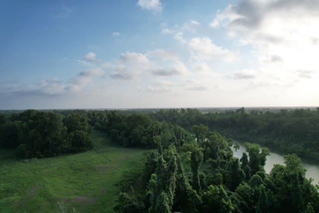 481.1 acres in Bay City County - photo 49