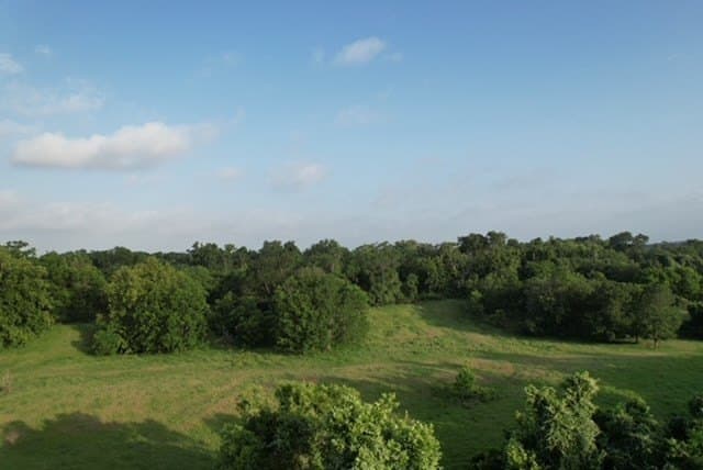 481.1 acres in Bay City County - photo 44